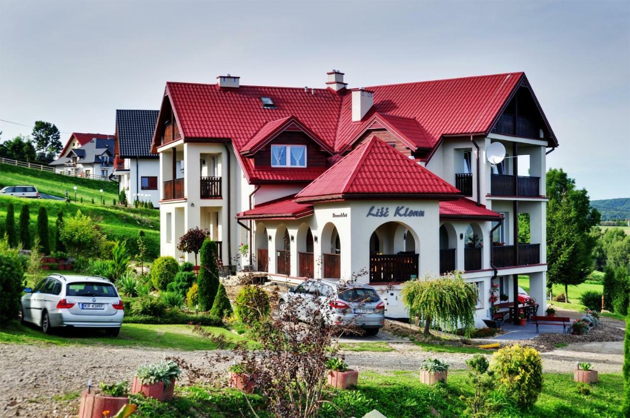 Апартаменты Lisc Klonu Поляньчик Экстерьер фото